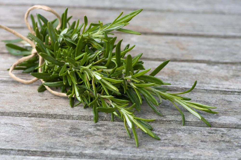 rosemary leaves bound in rope on wooden table 3